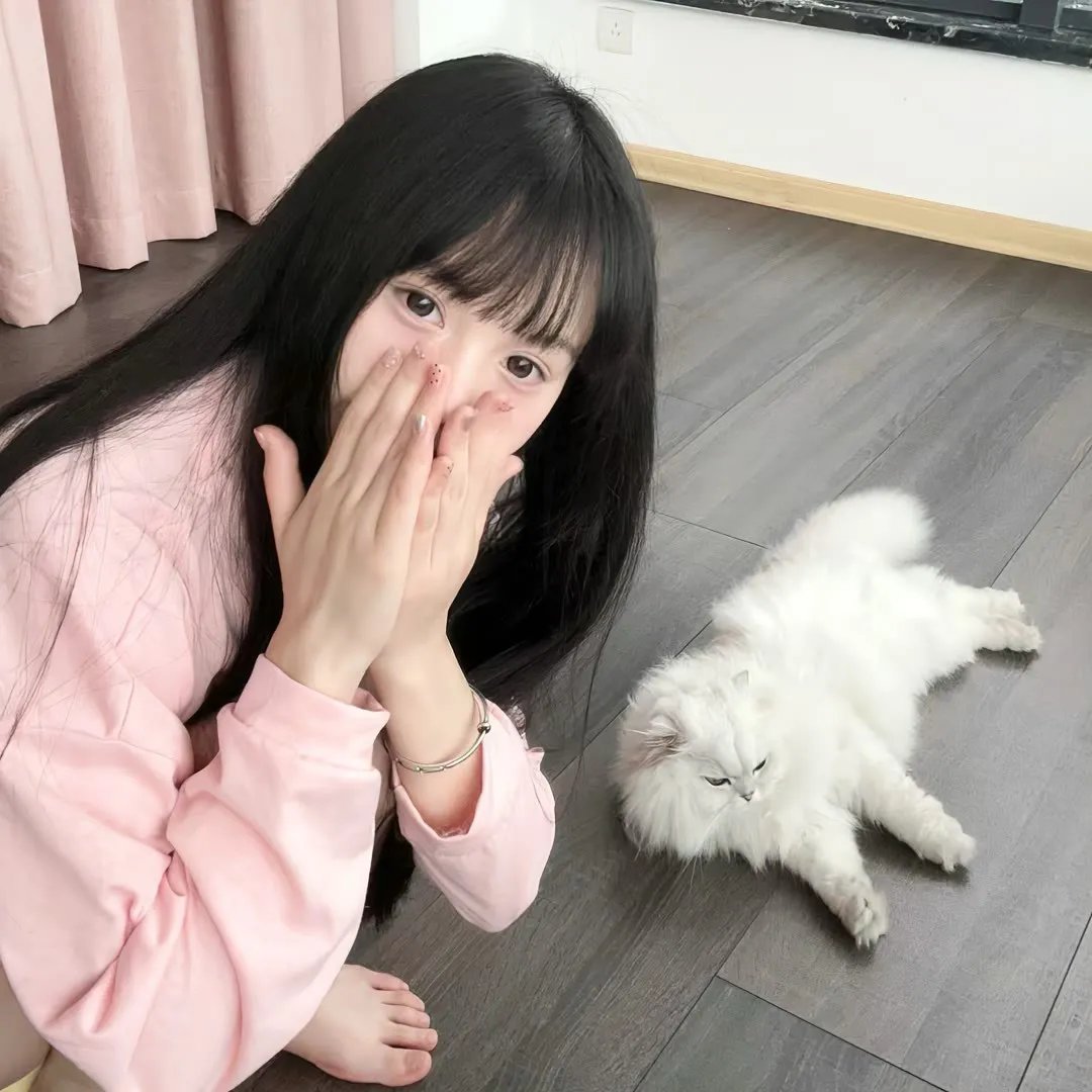 绝命毒师第一季